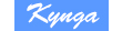 Kynga webáruház