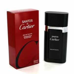 Cartier Santos de Cartier EDT 100 ml
