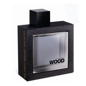 Dsquared He Wood Silver Wind Wood EDT 100 ml