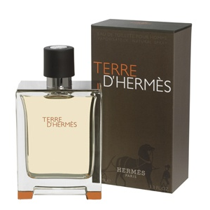 Hermés Terre D'Hermes EDT 100 ml