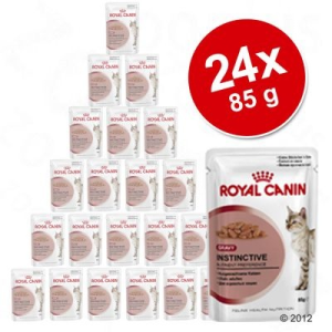 Royal Canin gazdaságos csomag 24 x 85 g - Instinctive zselében