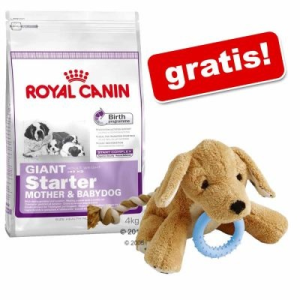 Royal Canin Royal Canin Mini Starter Mother&Babydog 4 x 8,5 kg