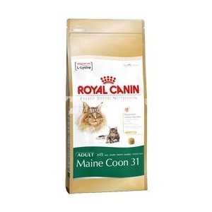 Royal Canin Maine Coon Adult - Maine Coon felnőtt macska száraz táp 10 kg