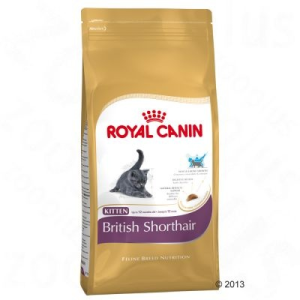Royal Canin British Shorthair Kitten - 400 g