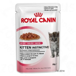 Royal Canin Kitten Instinctive zselében - 24 x 85 g