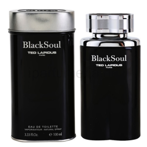 Ted Lapidus Black Soul EDT 100 ml