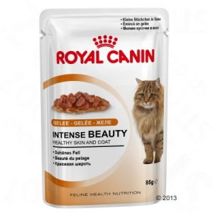 Royal Canin Intense Beauty aszpikban - 12 x 85 g