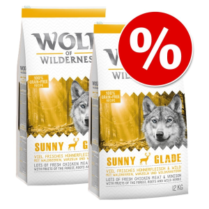 Wolf of Wilderness gazdaságos csomag 2 x 12 kg - vegyes csomag: Sunny Glade- vad + Wild Hills - kacsa