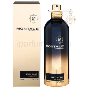 Montale Spicy Aoud EDP 100 ml