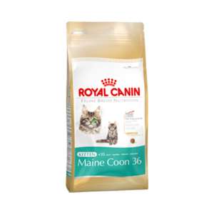 Royal Canin Maine Coon Kitten macskatáp 2 x 4 kg - AKCIÓ!!!