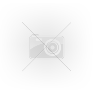 CEP női rövidnadrág, Black, L (W7H15A-L)