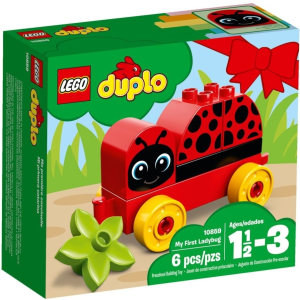 LEGO DUPLO Első katicabogaram 10859