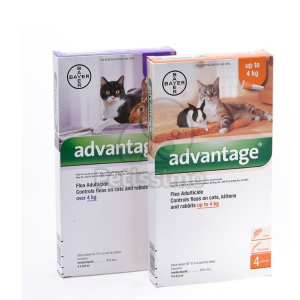 Advantage Advantage Spot On macskák részére 1 x 0,8 ml (Advantage 80)