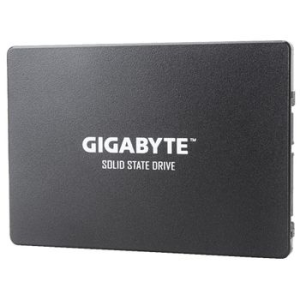 Gigabyte 256GB (GP-GSTFS31256GTND)
