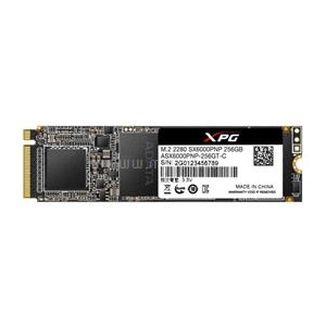 ADATA XPG SX6000 Pro 512GB M.2 PCIe ASX6000PNP-512GT-C