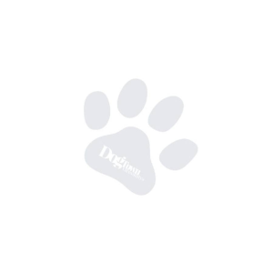 Acana REGIONAL Wild Praire Dog 11,4kg 3db