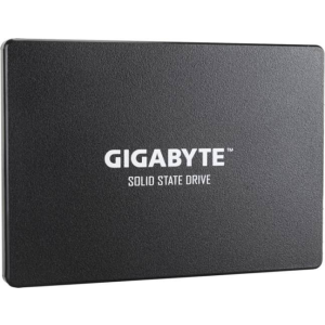 Gigabyte 1TB SATA 3 GP-GSTFS31100TNTD