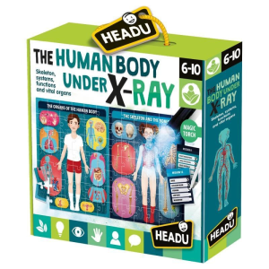HEADU S.R.L. Az emberi test röntgen alatt