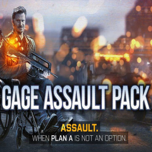 505 Games PAYDAY 2: Gage Assault Pack (PC - Steam Digitális termékkulcs)