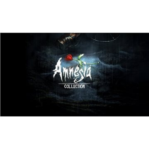 Plug-in-Digital Amnesia Collection - PC DIGITAL