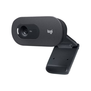 Logitech Webkamera LOGITECH C505 USB 720p fekete