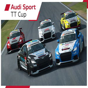  RaceRoom - Audi Sport TT Cup 2015 (Digitális kulcs - PC)