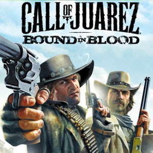 Call of Juarez: Bound in Blood (EU) (Digitális kulcs - PC)
