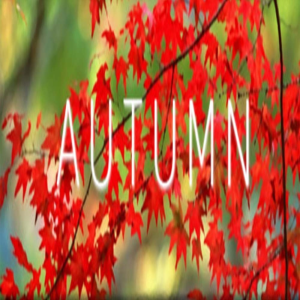  Autumn (Digitális kulcs - PC)