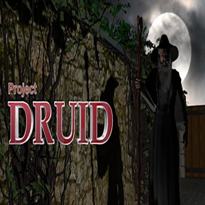  Project Druid - 2D Labyrinth Explorer- (Digitális kulcs - PC)