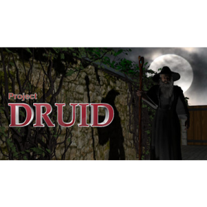 Back To Basics Gaming Project Druid - 2D Labyrinth Explorer- (PC - Steam elektronikus játék licensz)