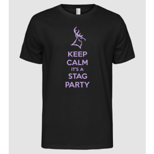 Pólómánia Keep calm stag party on - Férfi Alap póló