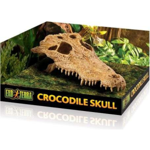 Exo Terra krokodil koponya dekor terráriumba - 15 cm