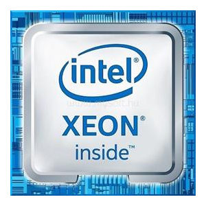 Intel CPU szerver Xeon W-1270 8C/16T (3.4GHz, 16MB cache, LGA1200) tray (CM8070104380910SRH96)