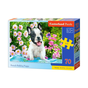 Castorland 70 db-os puzzle - Francia bulldog kiskutya (B-070152)