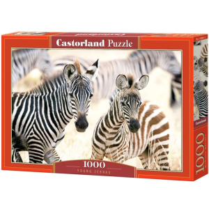 Castorland 1000 db-os puzzle - Fiatal Zebrák (C-105021)