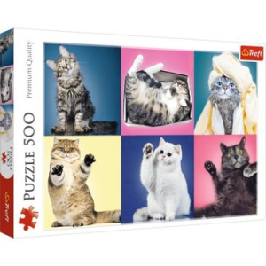 Trefl : kiscicák puzzle - 500 darabos