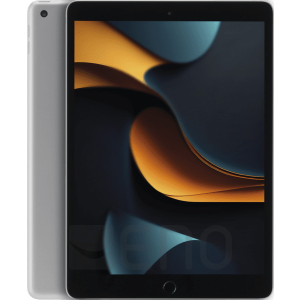  Apple iPad 10.2&quot; WiFi 4G 256GB 9Gen (2021) silver