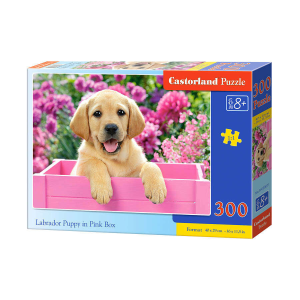 ramiz Castorland puzzle, Labrador kiskutya a rózsaszín dobozban, 300 darab