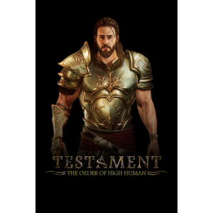 Fairyship Games Testament: The Order of High Human (PC - Steam elektronikus játék licensz)