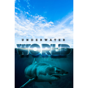 Overlay Games Underwater World - Idle Desktop Colony Building Simulator (PC - Steam elektronikus játék licensz)