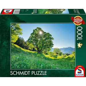 Schmidt 1000 db-os puzzle - Sycamore Maple in the Sunlight, St. Gallen, Switzerland