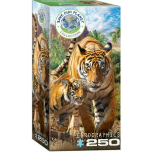 Eurographics 250 db-os puzzle - Tigers (8251-5559)
