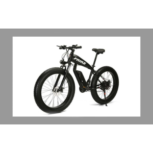 Bingoo Frike Dirt Elektromos kerékpár 250W 60km holm8379