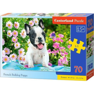 Castorland Puzzle 70 francia bulldog kiskutya CASTOR