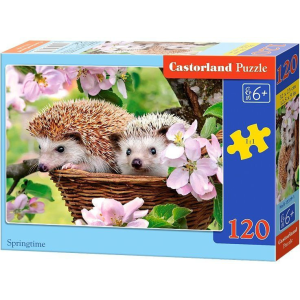 Castorland Puzzle Sün tavasszal 120 darab (229481)