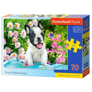 Castorland B-070152 - Francia bulldog kiskutya - 70 db-os puzzle